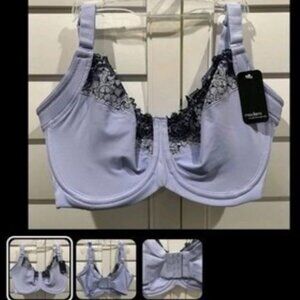 NEW $49 Modern Movement Blue Baby Lavin Underwire Sexy Bra Size 36 G